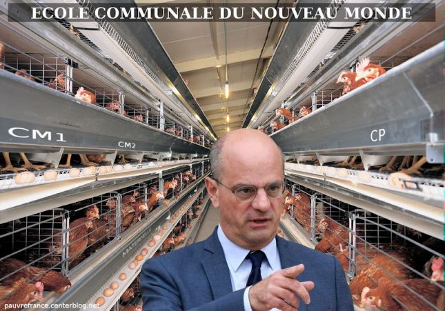 Le dessin du jour (humour en images) - Page 27 Elevage_en_batterie
